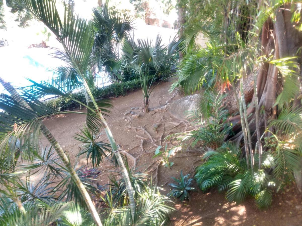 Twin Towers Departamento Vip Playa Acapulco Lejlighed Eksteriør billede